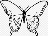 Butterfly Simple Clip Drawing Coloring Omalovánka Clipart Sketch Pro Vector Silhouette Vytisknutí Book Insect Děti Tisku Putih Hitam Omalovanky Vytisknuti sketch template