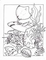 Coloring Pages Creatures Creature Ocean Lagoon Getcolorings Color sketch template
