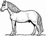 Coloring Cartoon Pages Horses Print sketch template