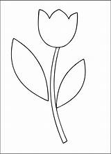 Tulip Printablee sketch template