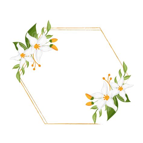 gambar bingkai segi enam  bunga lily putih bunga putih bunga