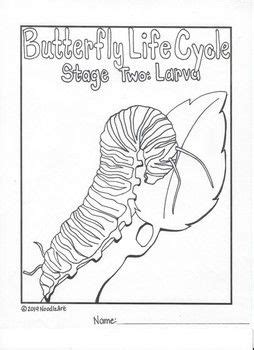 butterfly life cycle coloring pages butterfly life cycle life cycles
