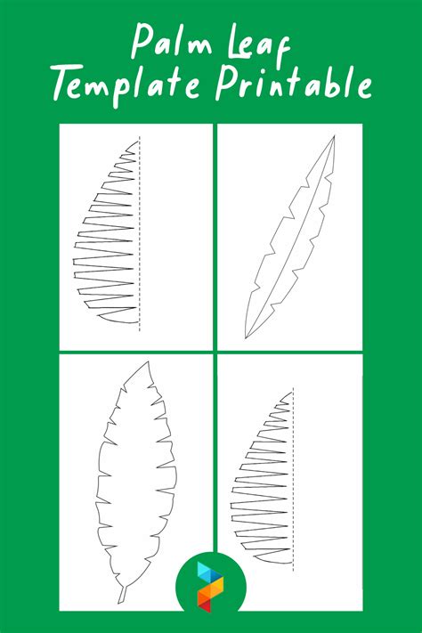 palm leaf template  shown    shapes  sizes