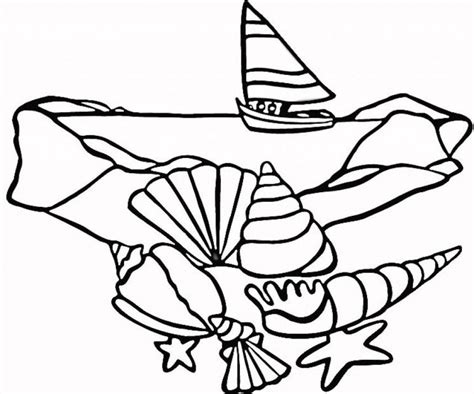coloring pages  seashells   coloring pages