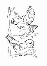 Oiseau Coloriage Kleurplaat Vogels Imprimer Kleurplaten Afdrukken Canari Oiseaux Colorier Door Tekeningen Kun Volwassenen Bezoeken Coloriages Tekenen sketch template