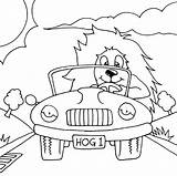 Coloring Car Pages Driving Hedgehog Taxi Noddy Driver Color sketch template