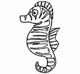 Sea Horse Coloring Coloringcrew Animals Color Gif sketch template