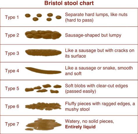 bristol stool chart miracles  healthmiracles  health