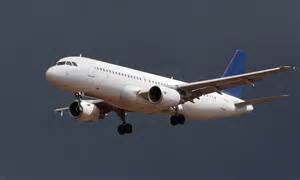 airbus pilot on moment passenger plane came close to