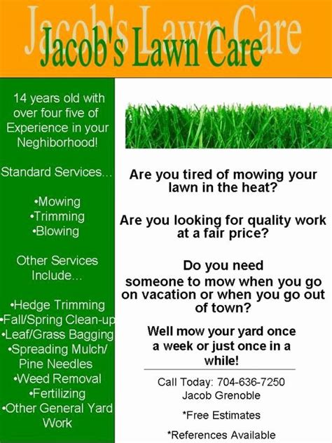 lawn care flyer     lawn care flyers mowing