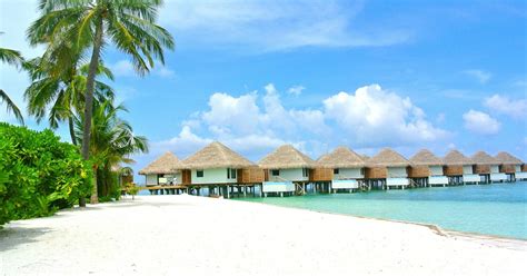 honeymoon  maldives heres   plan