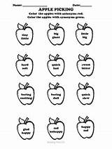 Coloring Synonyms Antonyms Apple Sheet sketch template