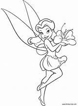 Coloring Rosetta Pages Disney Tinkerbell Fairies sketch template