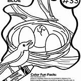 Coloring Dove Mourning Robin Crayola sketch template