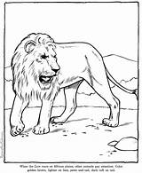 Coloring Pages Lions Lion Animals Zoo Popular sketch template