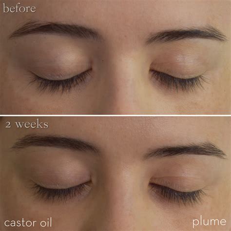 Does Castor Oil Help Eyelashes Grow Examples And Forms