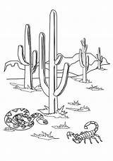 Cactus Coloring Pages Printable Scorpion Snake Flowers Saguaro Books Color Scorpions Worksheets Clipart Flower Parentune Library Kids sketch template