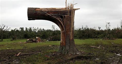 The Remains Of A Destroyed Tree After A Massive Tornado In Joplin