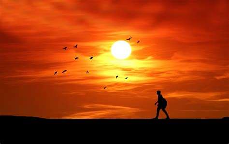 Sunset Silhouette Man Walking Poza Gratuite Public Domain Pictures