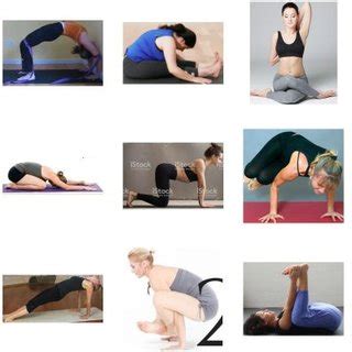 overview   categories  yoga poses  dataset