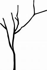Branch Tree Template Clipart Cliparts Clip Living Room Clipartbest sketch template