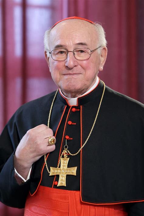 chefhistoriker im vatikan kardinal kritisiert deutsche bischoefe