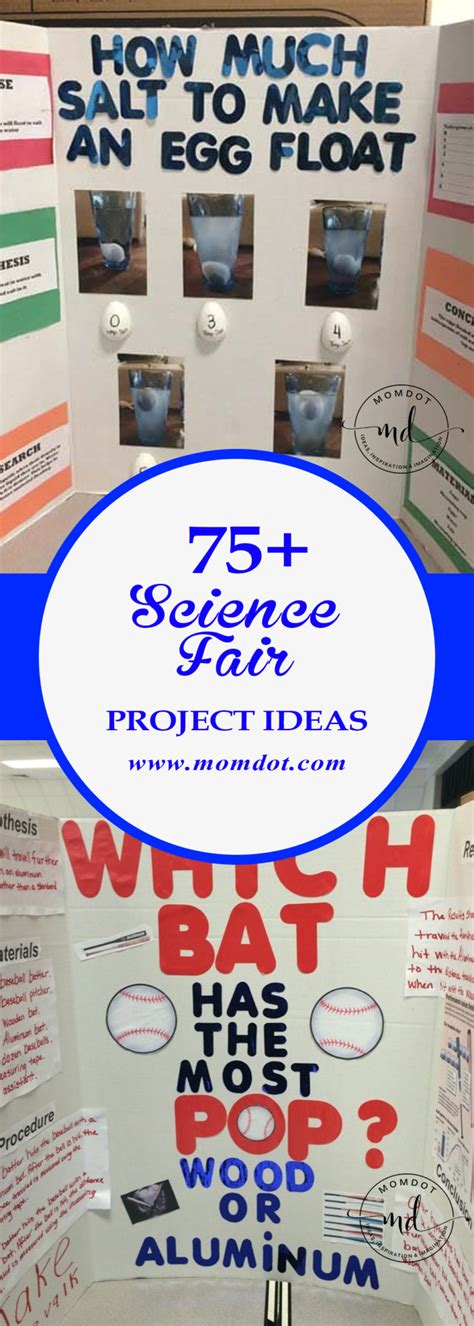 fantastic science fair project ideas momdot