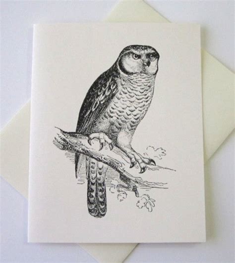 owl note cards stationery set   cards  matching etsy