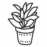 Kalanchoe Succulent Suculenta Planta Saftig Pflanze Vexels sketch template