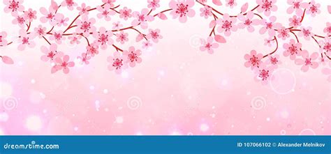 banner  branches  cherry blossoms stock vector illustration  decorative branches