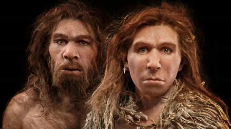 ‘sex Brought The End Of The Neanderthals It Could Also Be ‘because Of