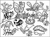 Coloring Insects Pages Cartoon Adults Butterflies Insectes Insect Diverses Bugs Various Color Colouring Justcolor Drawn Bug Childish Style Kids Adult sketch template