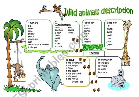 wild animal description esl worksheet  josecarmen