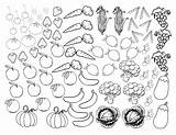 Fruits Vegetables Coloring Pages Vegetable Fruit Sheets Cool sketch template