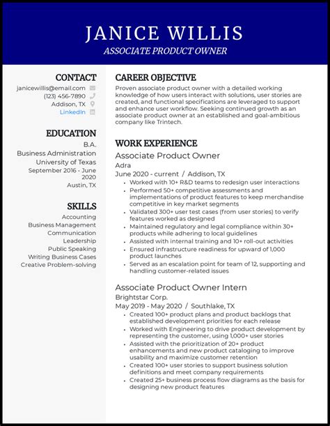 product owner resume samples