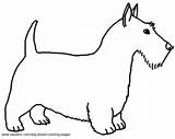 Coloring Pages Terrier Scottish Dog Breed sketch template