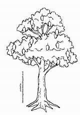 Pohon Mewarnai Sketsa sketch template