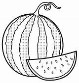Watermelon Melancia Melon Seedless Mitraland Infantis Realistas Outros Gostar Outra Cada Poplembrancinhas sketch template