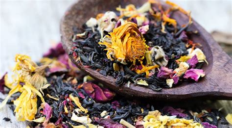 lady monarch camellia sinensis tea  radiance artemis tea botanical