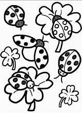 Coloring Ladybug Pages Printable Lady Bug Sheet Color Ladybugs Getdrawings Getcolorings Birthdayprintable sketch template