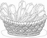 Basket Drawing Flowers Flower Baskets Coloring Vegetables Embroidery Fruit Floral Patterns Getdrawings Cat sketch template