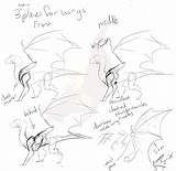 Dragon Wing Tutorial Placement Sketchy Drawing Deviantart Tutorials sketch template