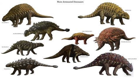 armoured dinosaurs  strange dinosaurs