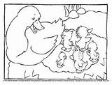 Quack Ducks Ducklings Coloringpages sketch template