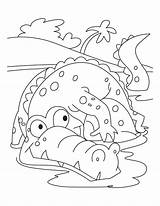 Alligator Pages Krokodil Ausmalbilder Alligators Frightened Sheets Kostenlos sketch template