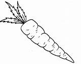 Carrot Clipart Clip Coloring Cliparts Carrots Library Colouring Pages Nice Gajar Clipartix Kids Use Clipground 2021 Favorites Add sketch template
