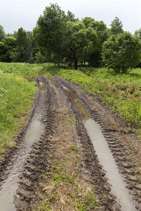 tractor tracks  winter time stock photo image  agriculture land