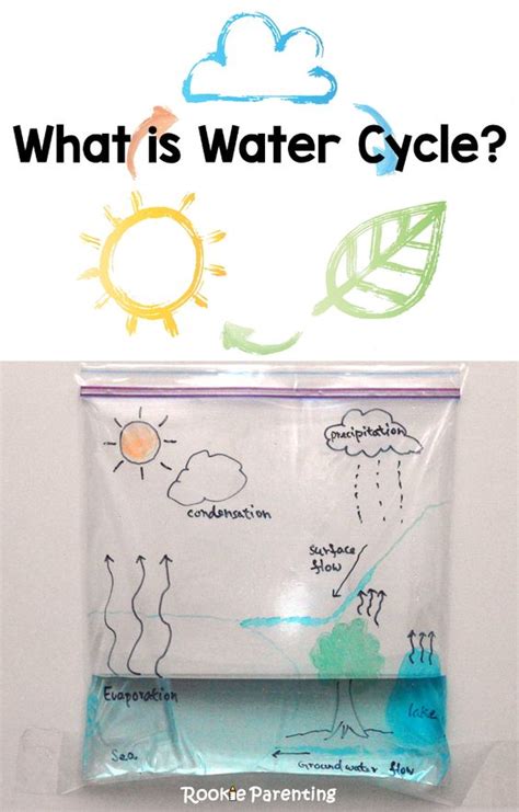 teaching water cycle activities resources   freebie elementary