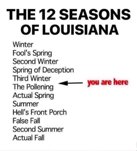 19 funny memes you ll only get if you re from new orleans