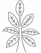 Drawing Plant Tobacco Drawings Google Colonial Search Challenge Gif Choose Board sketch template